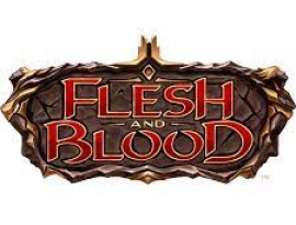 FLESH AND BLOOD : INITIATIONS ET TOURNOIS